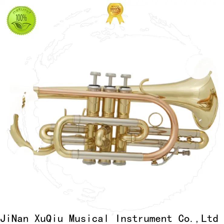 top cornet xtr004 for business for concert 1