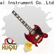 cool build guitar from scratch snlp002 suppliers for beginner 1