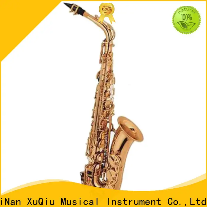 XuQiu xal1018ex alto saxophone brands brands for beginner 1
