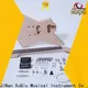 custom gibson explorer guitar kit rockabilly company for performance 1