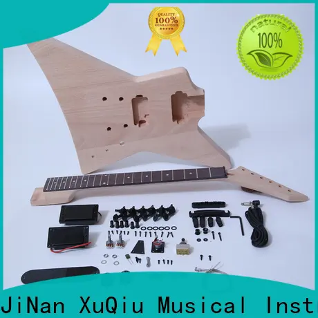 New schecter guitar parts kit for sale for kids 1