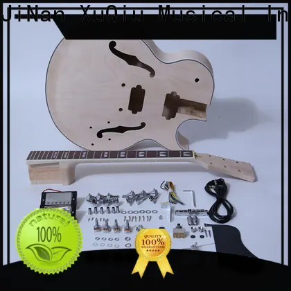 best slash guitar kit sngk002 supply for concert 1