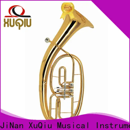 XuQiu xbt201 baritone price suppliers for kids 1