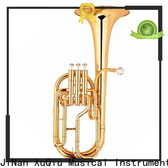 XuQiu horn alto horn vs french horn company for band 1