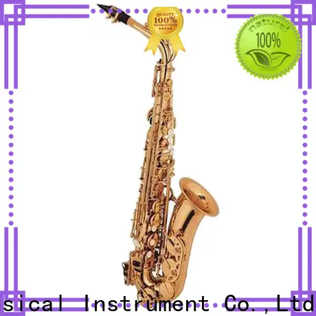 best alto saxophone price xal1005 suppliers for student 1