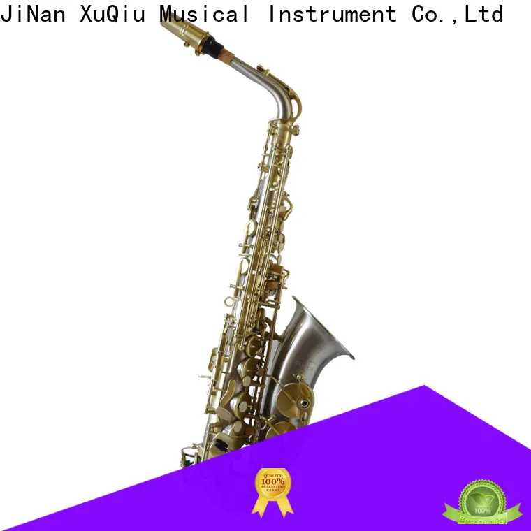 professional selmer alto saxophone xal3010 manufacturers for student 1