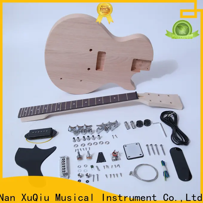 custom gibson sg guitar kit beginner for business for beginner 1