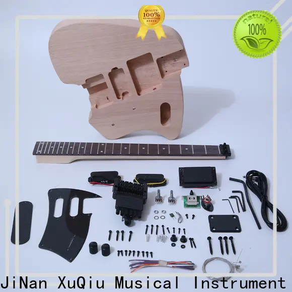 best hollow body bass guitars unfinished for sale for concert 1
