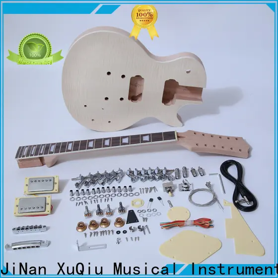 diy electric guitar builders kit sngk0187 factory for concert 1