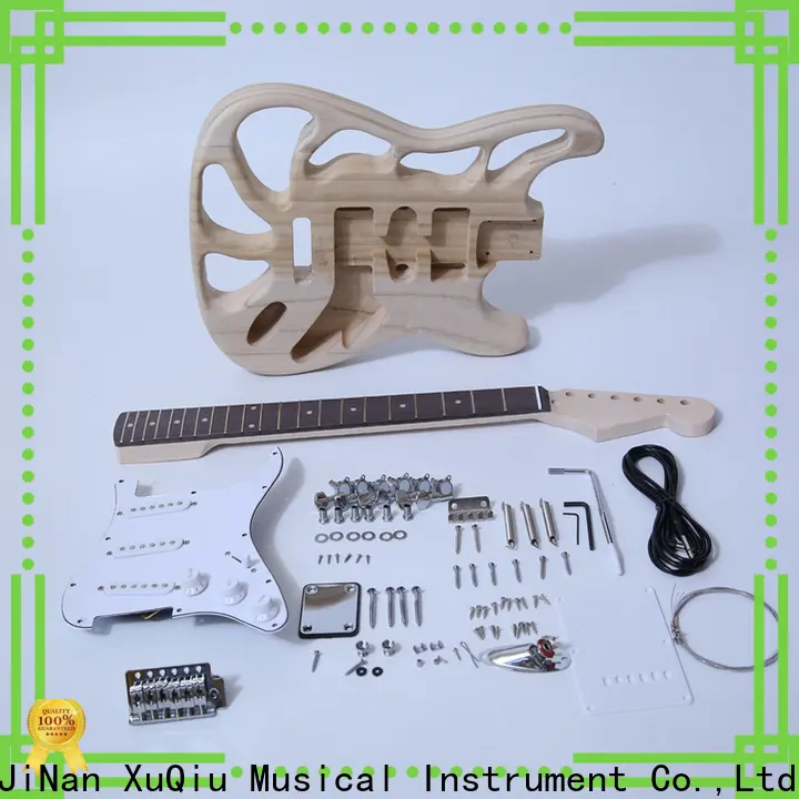 diy diy guitar kit review sngk001sb for sale for concert 1