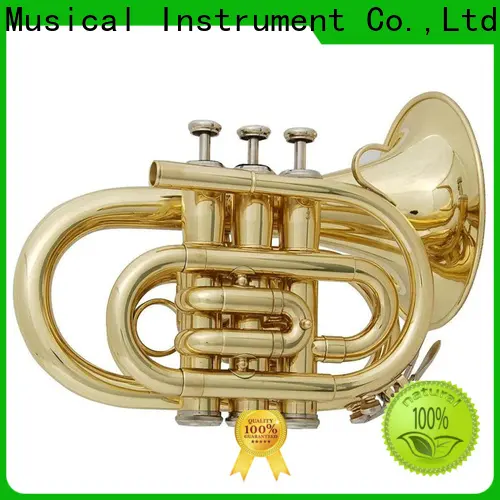 XuQiu xtr002b bass trumpet design for kids 1