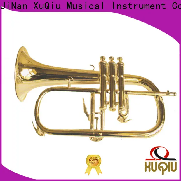 XuQiu top trumpet manufacturers xtr021 factory for kids 1