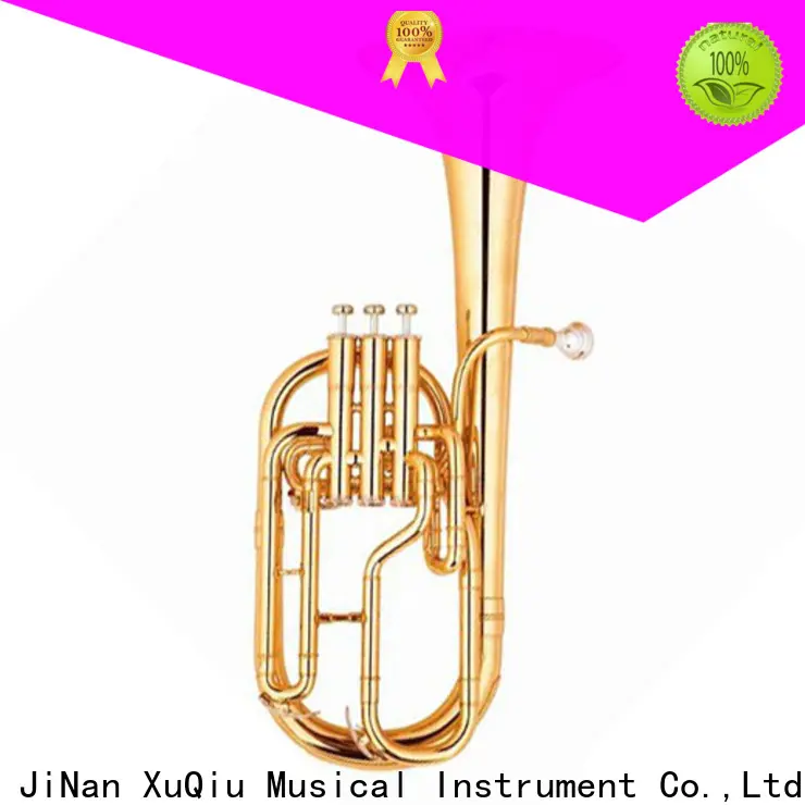 custom yamaha alto horn xah002 for sale for student 1