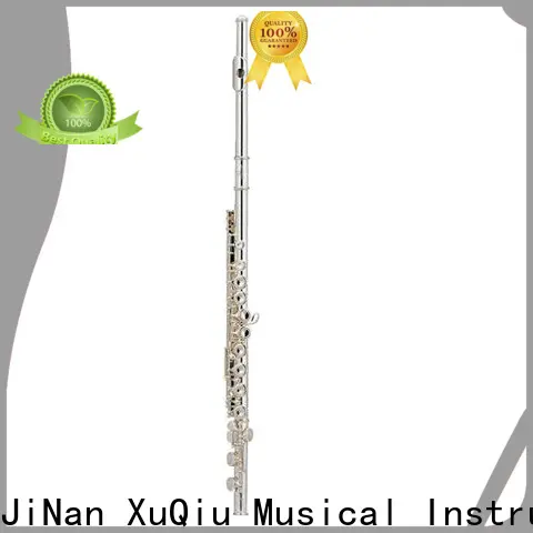 wholesale open hole flute xfl301 suppliers for beginner 1