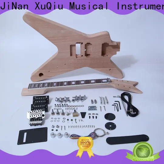 diy learn to play guitar kit sku035 company for beginner 1
