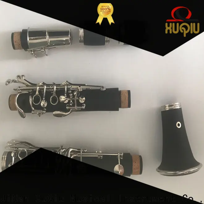 top high d on clarinet xcl101 for business for kids 1