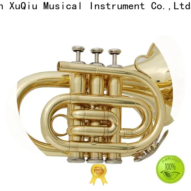 XuQiu xtr001 professional trumpets for sale suppliers for beginner 1
