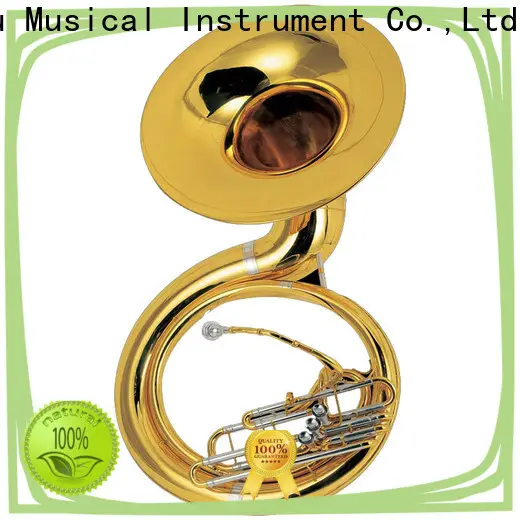 china instrument sousaphone instrument manufacturers for student 1
