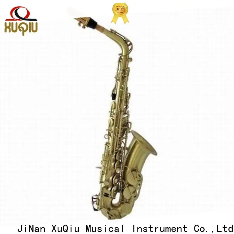 top saxophone saxophone supply for beginner 1