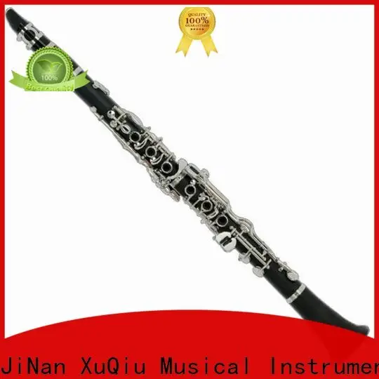 best clarinet instrument instrument factory for beginner 1