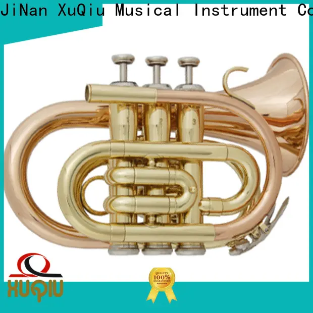 XuQiu XuQiu trumpet solo for business for kids 1