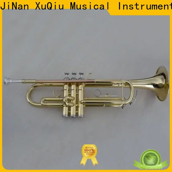 best trumpet solo xtr010 price for student 1