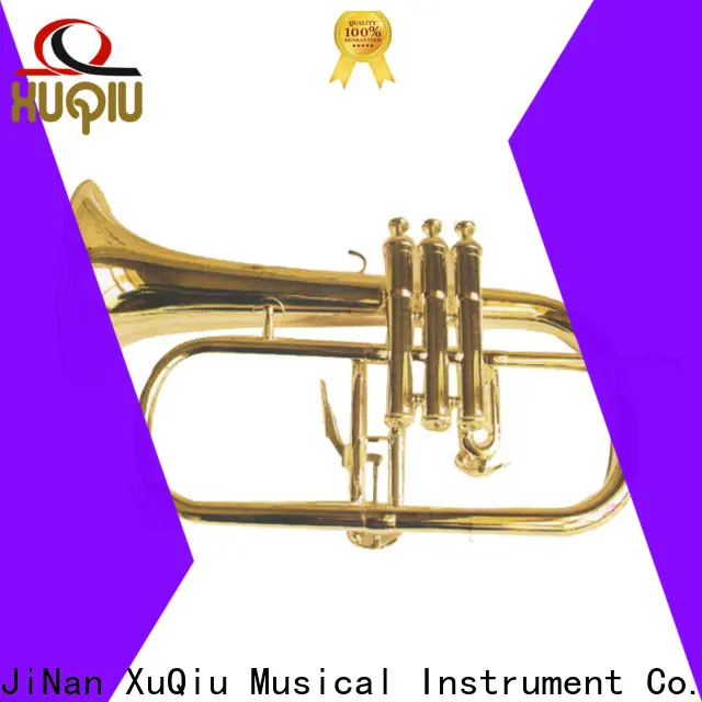 New flugelhorn pocket brands for beginner 1