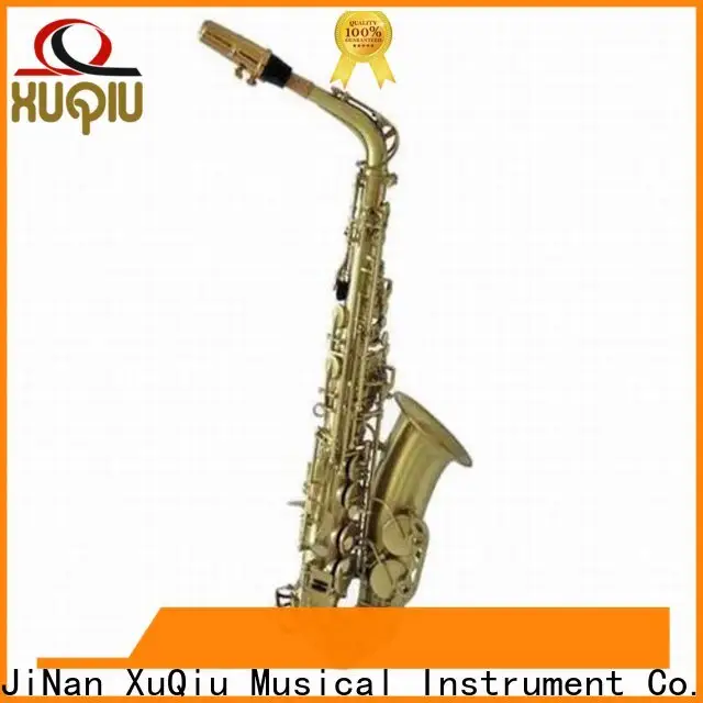 custom best student alto saxophone xal1015 factory for concert 1