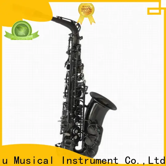professional gold alto saxophone satin suppliers for beginner 1