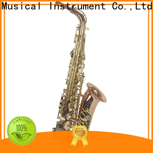 XuQiu xal2001 black alto saxophone manufacturers for student 1