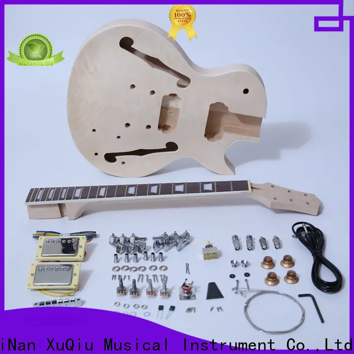latest fender guitar kit sngk005 suppliers for beginner 1