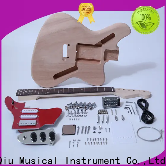 XuQiu high-quality dual neck guitar supply for beginner 1