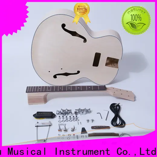 wholesale diy double neck guitar kit double manufacturers for concert 1