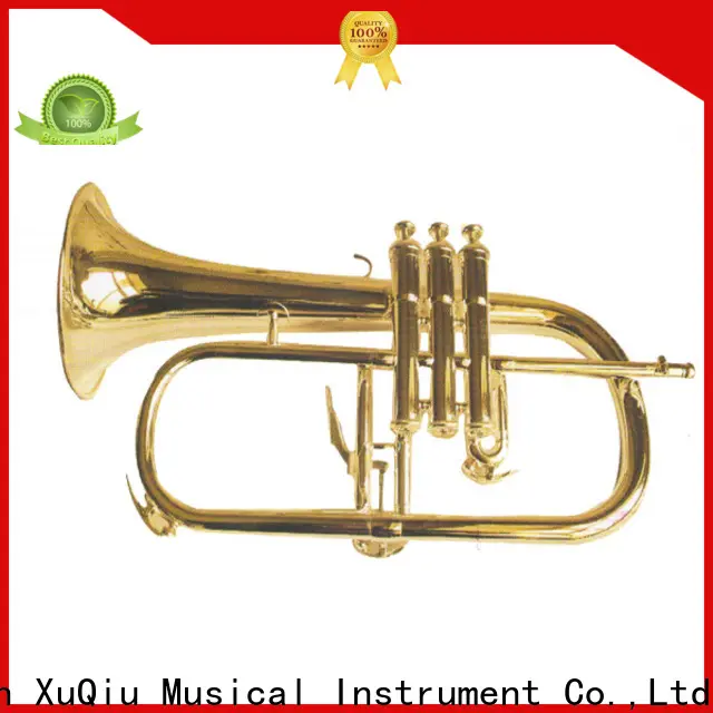 XuQiu New kids trumpet factory for beginner 1