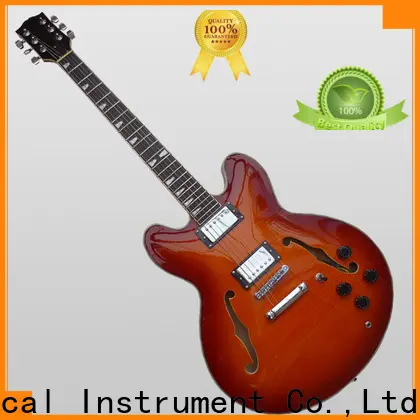 cheap custom guitar building sneg110 cost for student 1