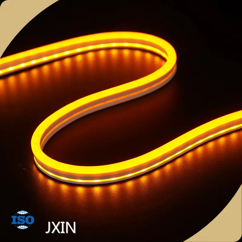 Bande lumineuse flexible au néon de JXIN 1
