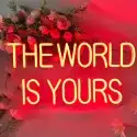 The World Is Yours Neon Sign3 1