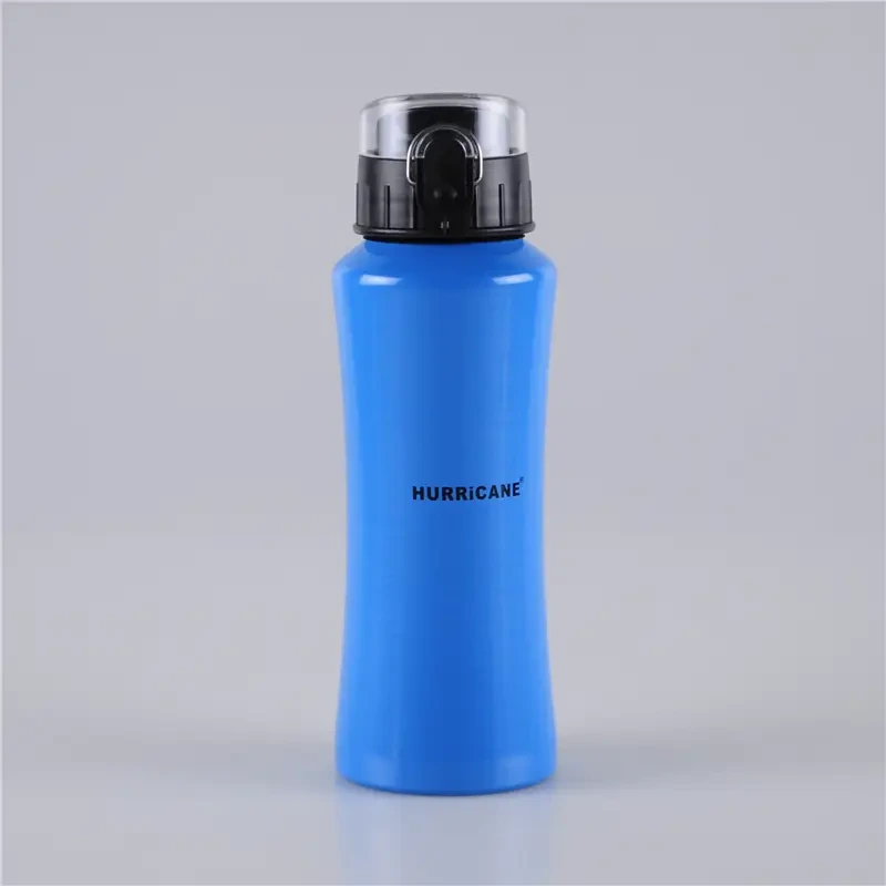 600ml Easy To Carry Metal Water Bottles 1