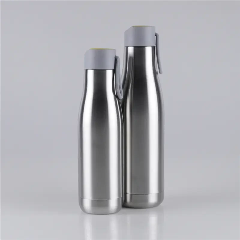 500ml / 750ml Carrying Lid Double Wall Stainless Steel Water Bottle Insulated 1