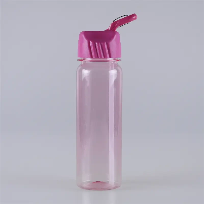 650ml Carabiner Design Straw Lid BPA Free TRITAN Bottle 1