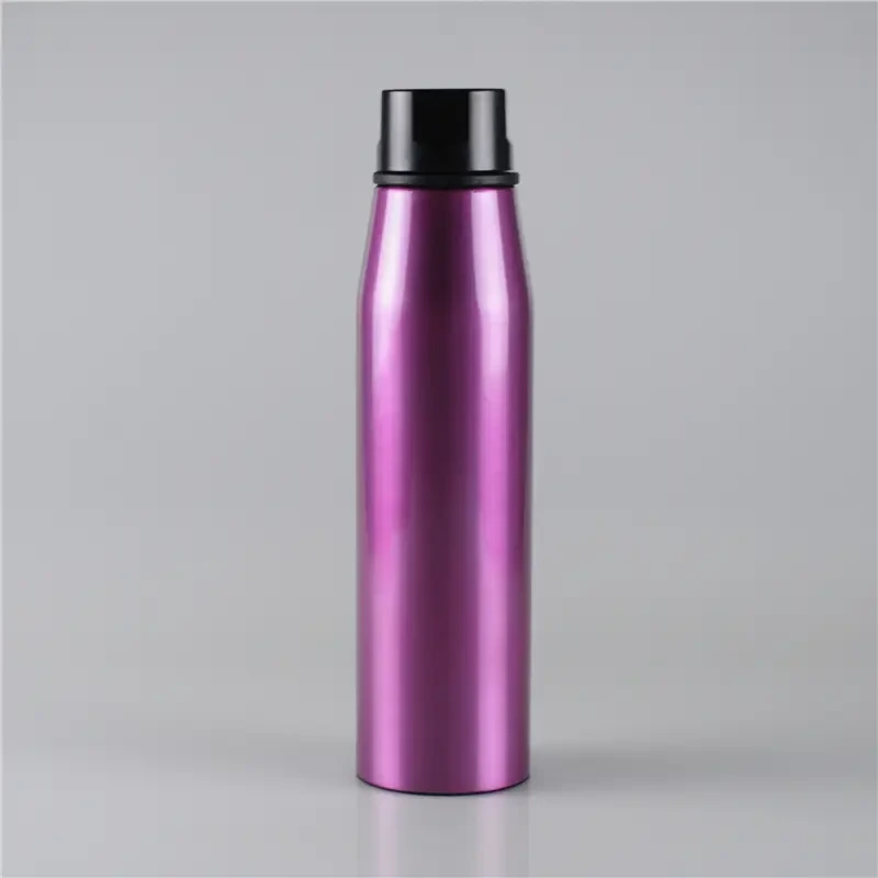 550ml Draaghanger Koele RVS Waterfles 1