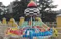 Self-control amusement park rides for sale carousel manufacturers playground 5