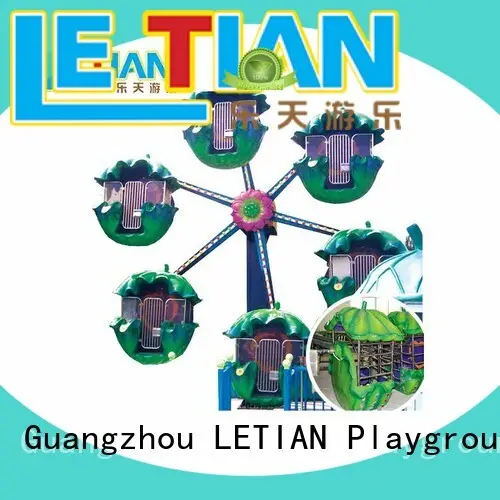 amusement park ferris wheel doublesided playground LETIAN 1