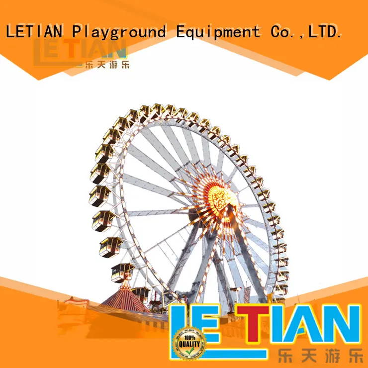 Top ferris wheel for kids park for adults playground 1