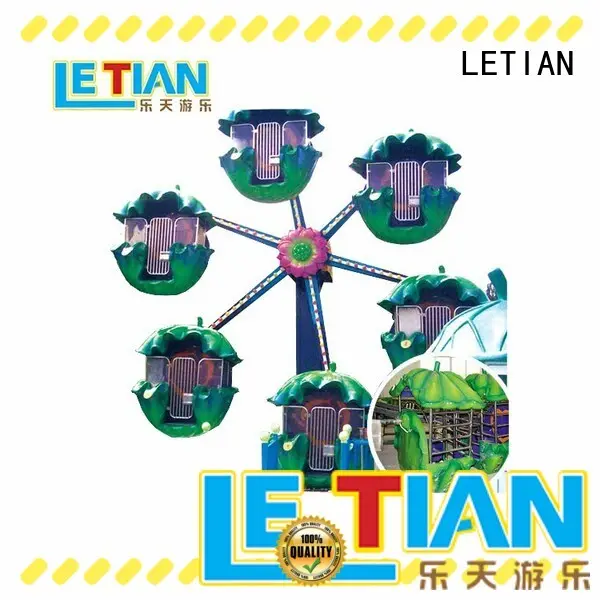 LETIAN High-quality best ferris wheels manufacturers theme park 1