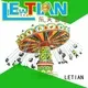 LETIAN fruit amusement park swing ride manufacturers fairground 1
