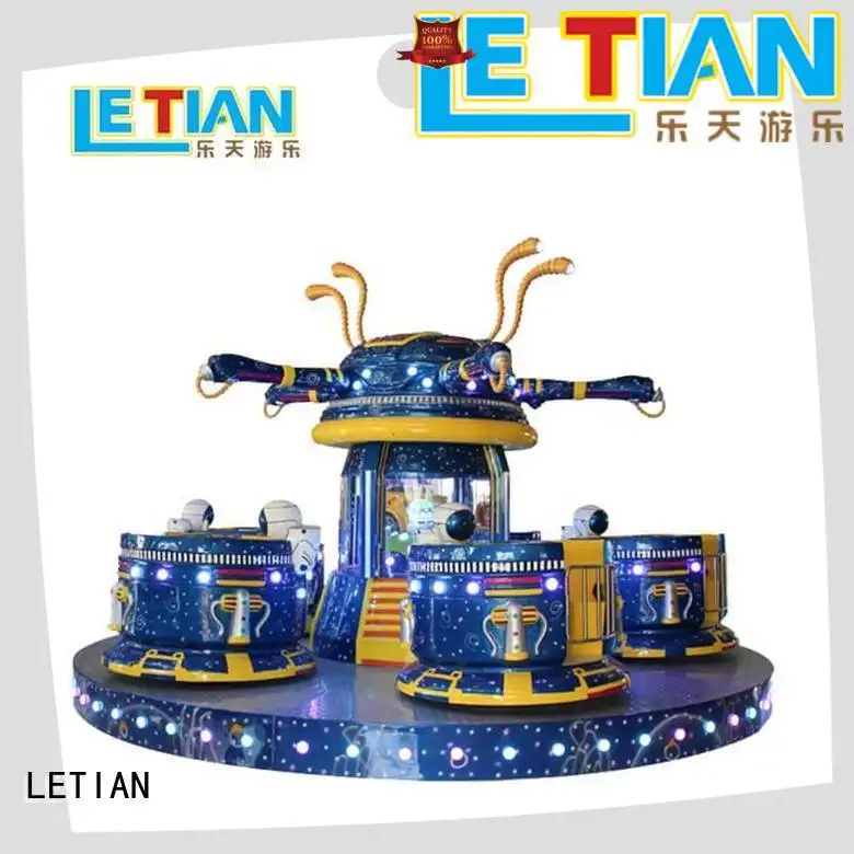 rotating spinning cup princess factory playground 1