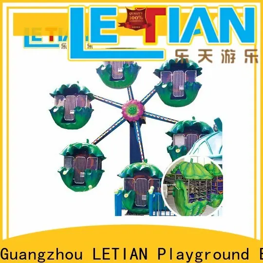 LETIAN safe ferris wheel for kids Suppliers playground 1