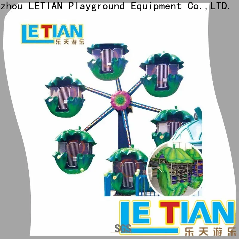 giant ferris wheel doublesided Suppliers entertainment 1