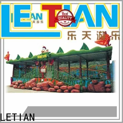 Wholesale play a roller coaster game ride Suppliers theme park 1